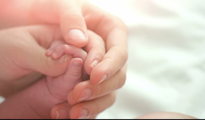 Sợi dây gắn kết