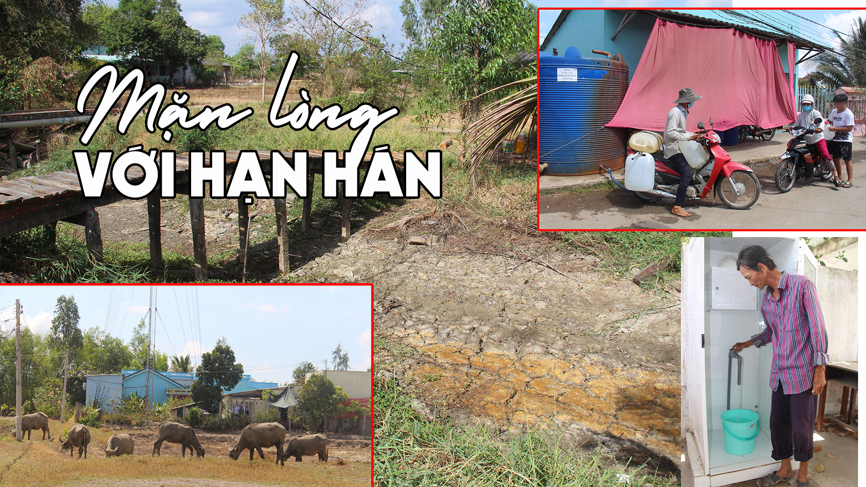 Mặn lòng với hạn hán