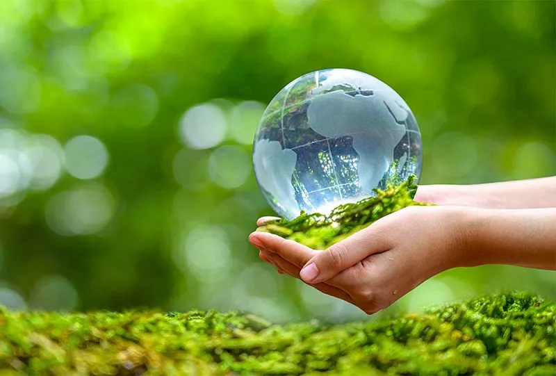 Người xưa bảo vệ môi trường...