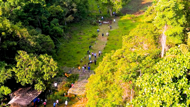 Philippines trồng cây Dại Lộ  CBCP.png (843 KB)