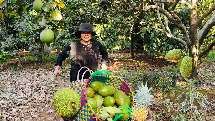 Cây nhà lá vườn thời nay