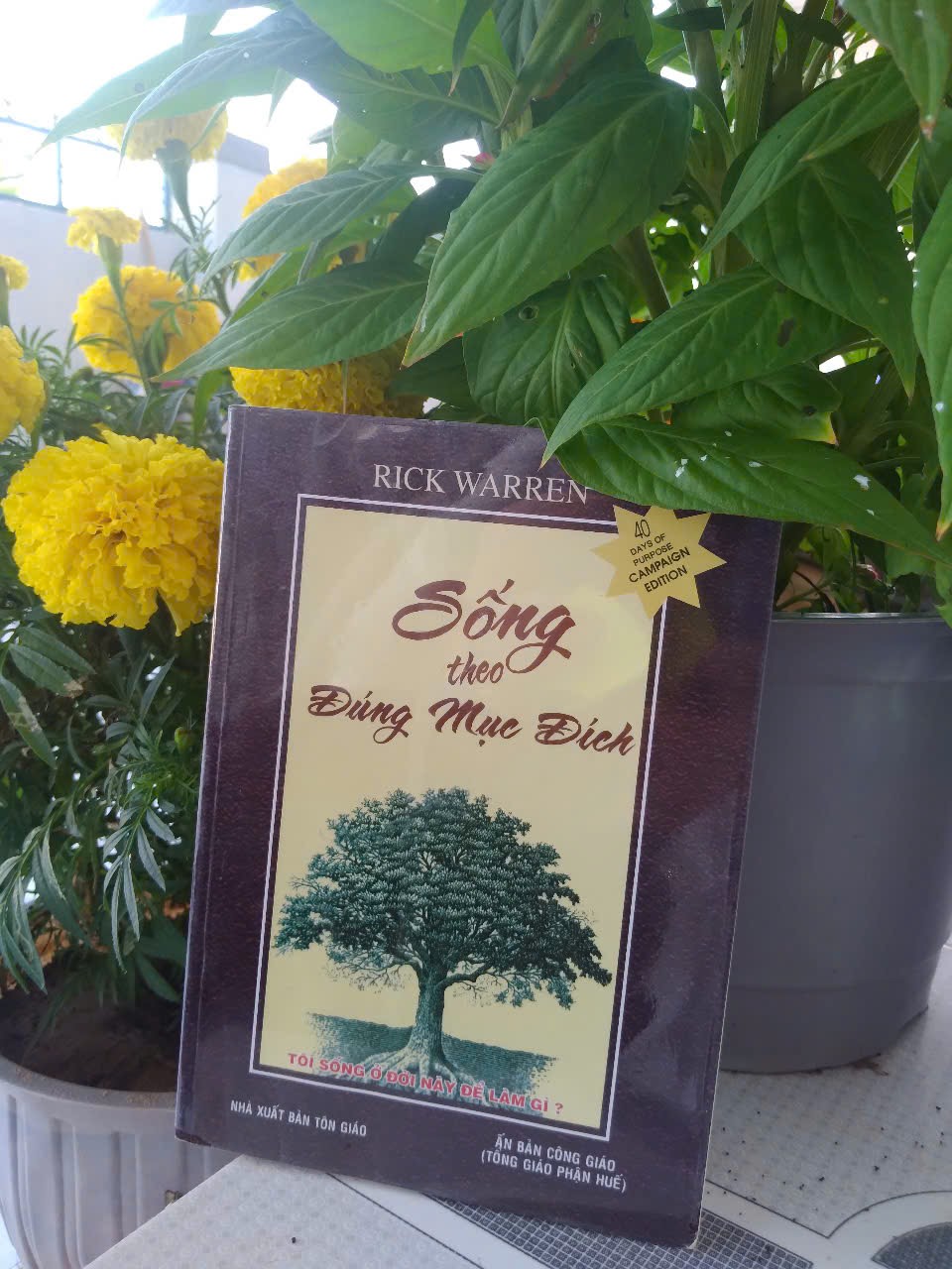 “Sống theo đúng mục đích”, nhích dần đến hạnh phúc