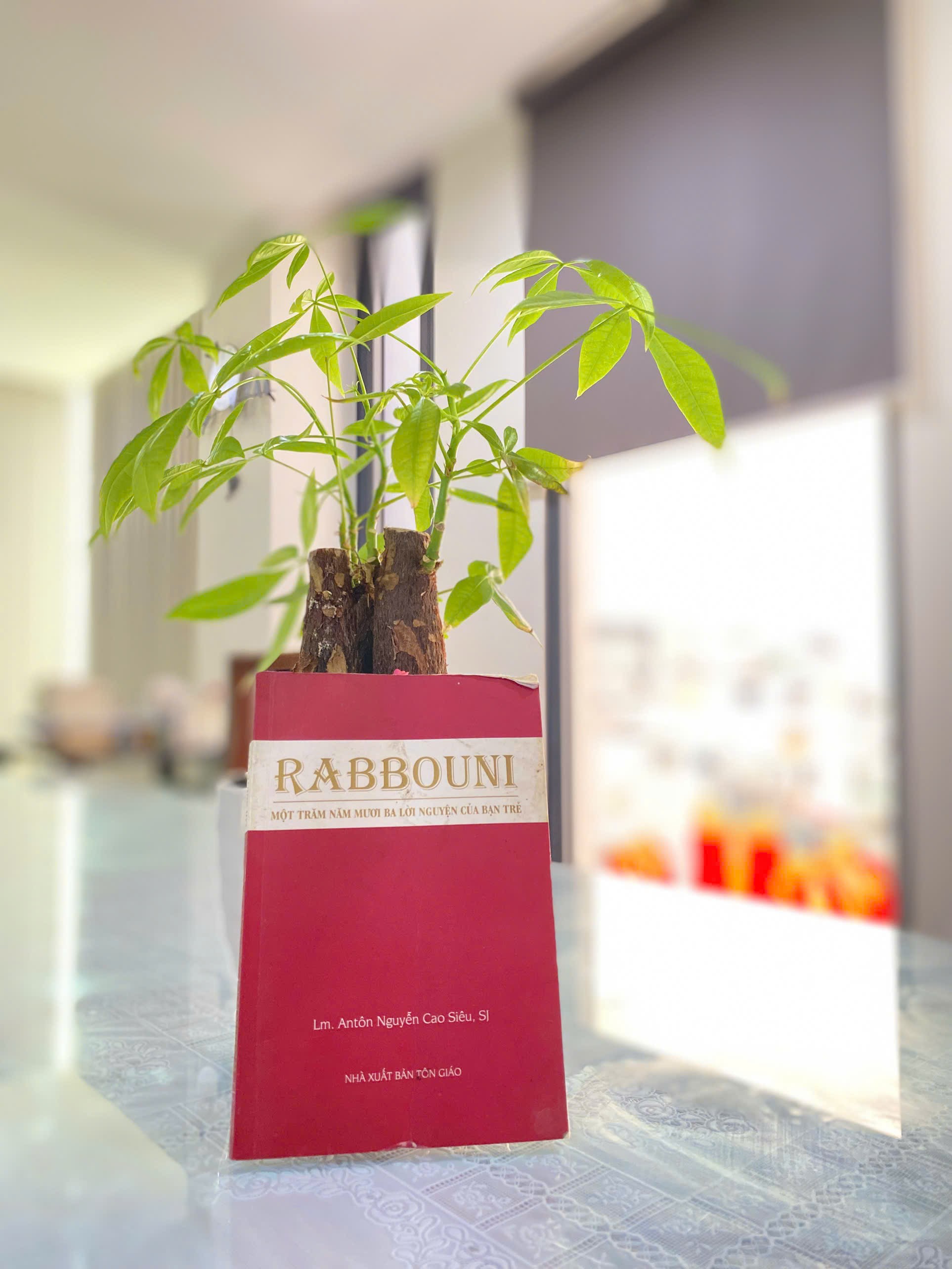 Rabbouni, có nghĩa là Thầy