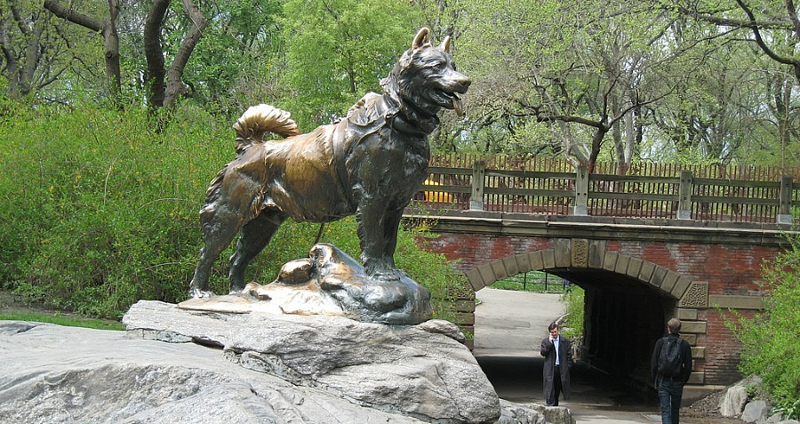 Hướng về  ánh sáng