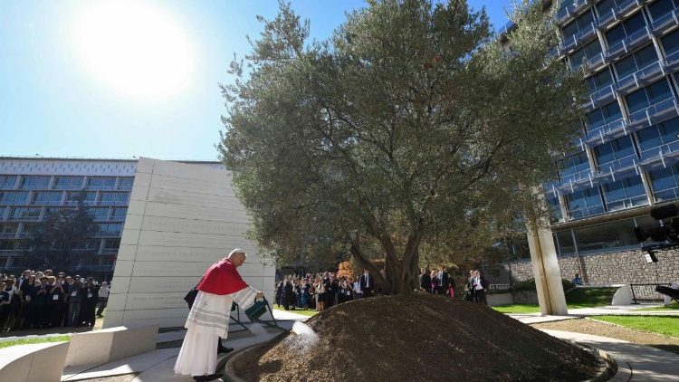 Đức Thánh Cha Lêô XIV tưới cây ôliu biểu tượng cho thông điệp hoà bình tại Trụ sở UNESCO.   (Vatican Media).jpeg (80 KB)