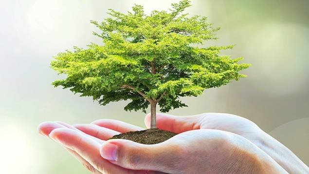 Káº¿t quáº£ hÃ¬nh áº£nh cho bao ve moi truong