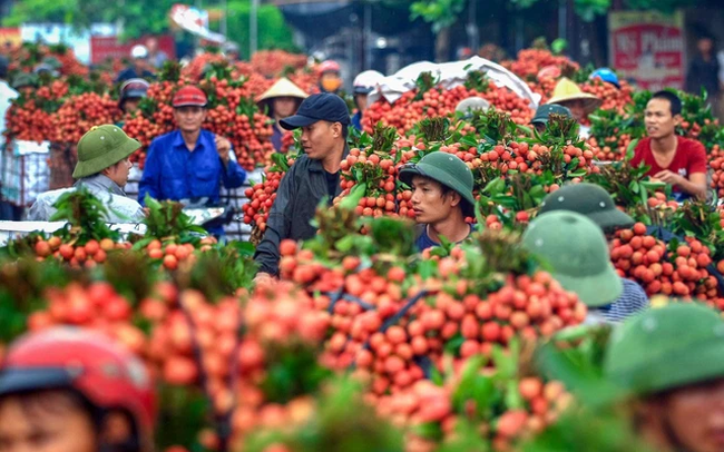 Không còn các "phi vụ giải cứu" ngắn hạn, nông sản Việt tìm đầu ra bền